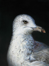 "Baroque Self-Portrait as a Seagull", 2013, Acrylics on Hardboard, 8 x 6 in., by David Jay Spyker