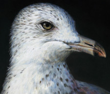 "Baroque Self-Portrait as a Seagull", 2013, Acrylics on Hardboard, Magnified Detail, by David Jay Spyker