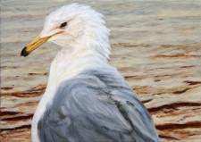 "Self-Portrait in the Morning as a Gull", 2012, Acrylics on Hardboard, 5 x 7 in., by David Jay Spyker